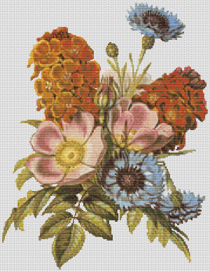 Blue Bottle, Dog Rose, And Garden Wall Flower - Pattern and Print