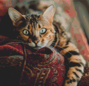 Cat on a Sofa - Pattern and Print