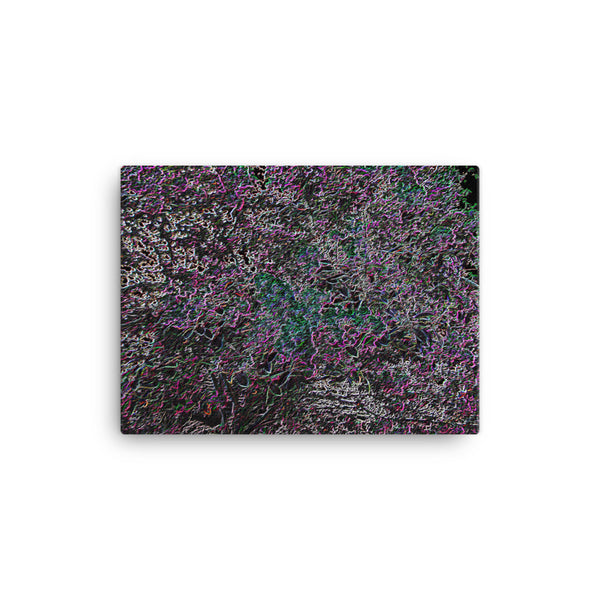 Strings 16 x 12 Canvas Print