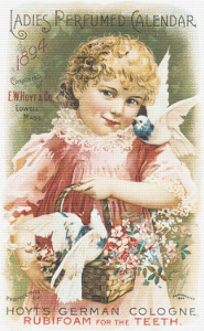 E. W. Hoyt and Co. Trading Card - Pattern and Print