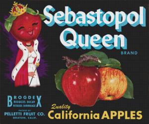 Sebastopol Queen Label
