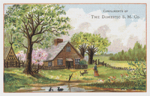 The Domestic S. M. Co. Trading Card - Pattern and Print