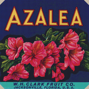 W. H. Clark Fruit Co. Label